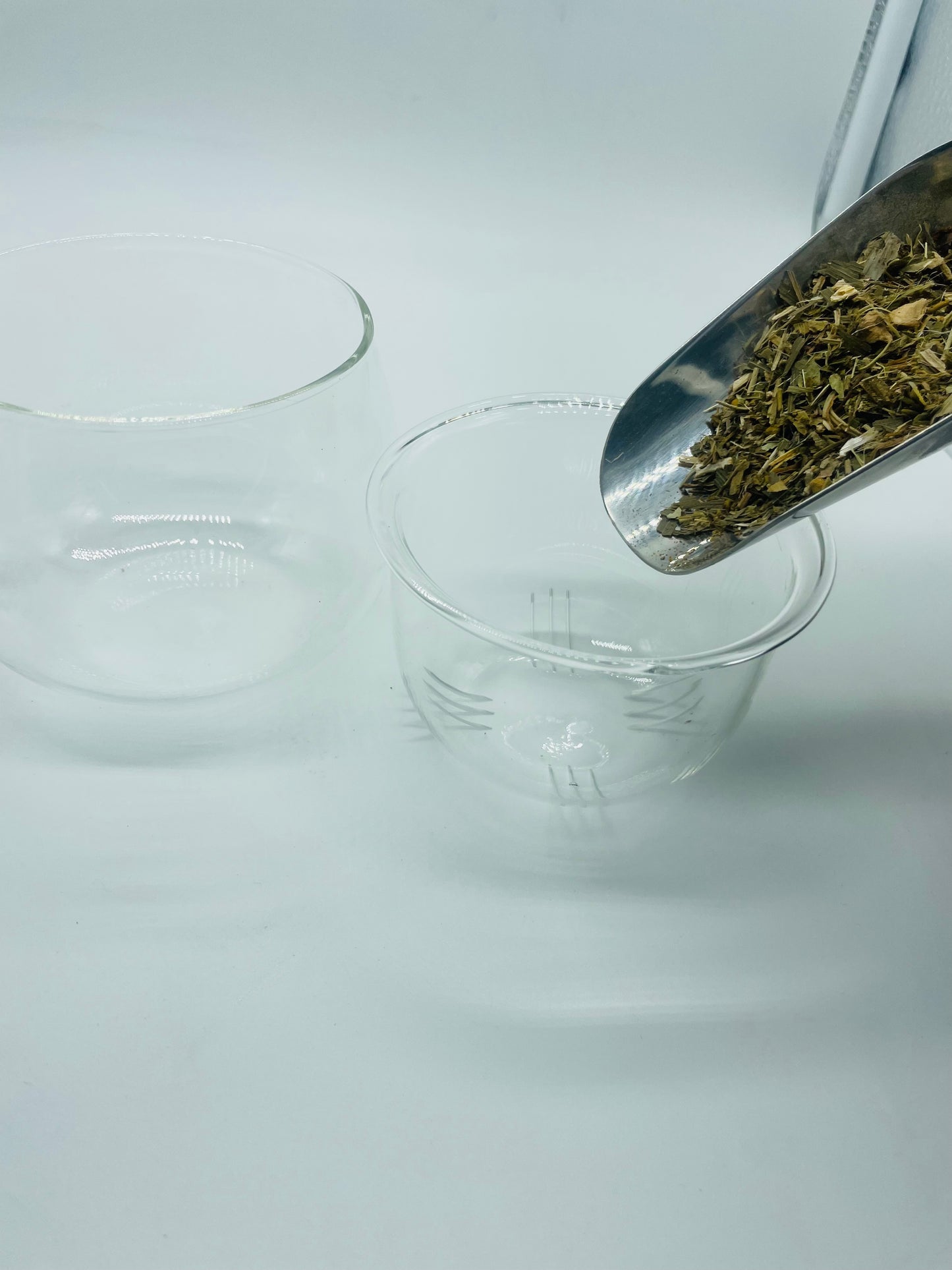 Glass Tea Maker w/Mug (Pre-Order-This item will ship on or after 1/20/26)