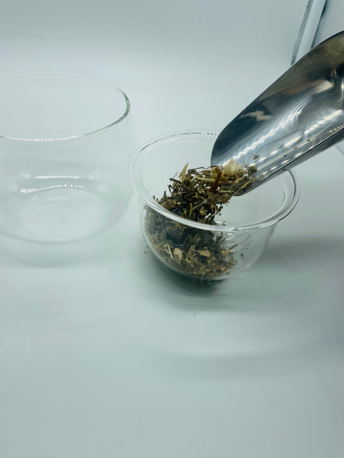 Glass Tea Maker w/Mug (Pre-Order-This item will ship on or after 1/20/26)